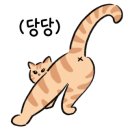 콩카페수원 이미지