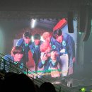 날으는고양이 | 엔시티위시콘서트 INTO THE WISH 첫콘 후기 (2층 시야) +인스파이어아레나 무료셔틀