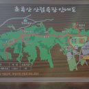 초록산 산림욕장 1 이미지