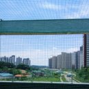 인천 국가대표태권도장 이미지