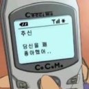 봄날의강아지