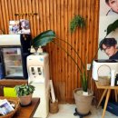 채플린안경콘택트(금암점) 이미지