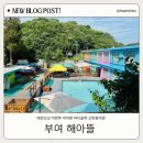 대전근교 물놀이 축제중인 부여 아이와 가볼만한 곳 부여해아뜰