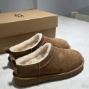 클래식은 처음이라 | 미국 UGG 어그 클래식 마이크로 체스트넛 가격 사이즈 추천 착용샷 착화감 후기