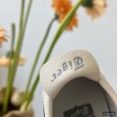 아이보리 타이거 네이버블로그
