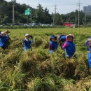 월호동주민자치센터 이미지