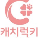 캐치비전 이미지