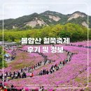 2024 불암산 철쭉축제 솔직 후기 (주차정보/개화 상황/카페포레스트/유아숲체험장 및 시설 안내)