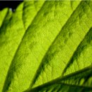 그린시너지 이미지