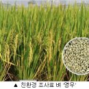 영우산업 이미지