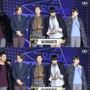 도마비투비 이미지