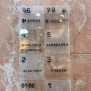 권치과의원 | 서울 권치과 잇몸이식 수술 내 돈 내산 후기