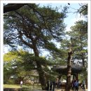 순흥면 보건지소 이미지