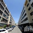 반도보라 이미지