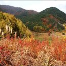 상림농장 이미지