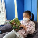 보령시립도서관 | 주말에는 명천동 보령시립도서관