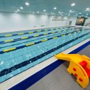 노블스위밍랩 이미지