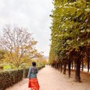 (12/15) 프랑스자수 레터링 미니 에코백 | [유럽 프랑스] 노트르담성당부터 에펠탑, 몽마르트까지 핵심만 꼭 집어 보는 파리 시내 워킹투어(feat...