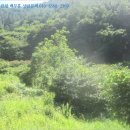 이반성면-2 네이버블로그