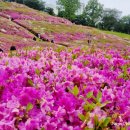 철쭉공원 화장실(지하) 이미지