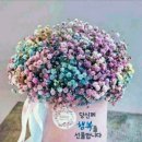 파인-애플