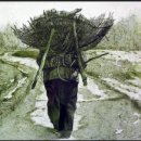 국도2호선 이미지