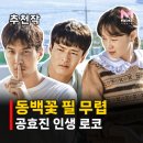 신장파출소 | 동백꽃 필 무렵 결말 줄거리, 까불이 정체는? 공효진 강하늘 인생 드라마 정주행 추천