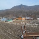 노은면사무소 이미지