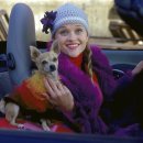 청담김량장독서실 이미지