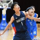 블럭챔프 이미지