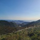 치유의 숲 이미지