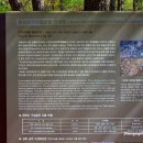 전포2동-12 이미지