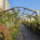 한의약거리 이미지