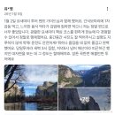1891 | 요세미티 당일 투어 국립공원 날씨 옷차림 샌프란시스코 여행 당일치기 코스 추천