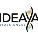 아이디 사이언스 이미지