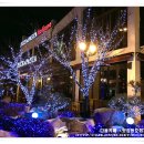 라이스&파스타 이미지