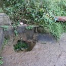 이기대약수터 이미지