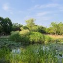 한밭수목원 이미지