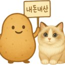 신고령촌돼지찌개 이미지