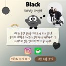 20240212 ~ 20240218 초코 간식 만들다 한주 가버린 주간 일기