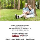 엠버관절애
