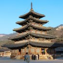 [괴산여행] 충북 보은, 괴산 여행｜속리산 법주사, 괴산 보광산