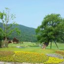 보라컨트리클럽 이미지