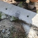 가로등 위치 이미지