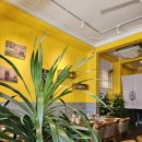 짜오바오 이미지