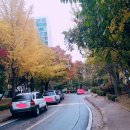 엠시티약국 이미지