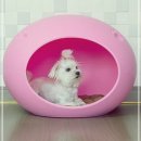 핑크애견하우스 이미지