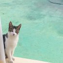 [3월] 평생교육사 현장실습 이미지