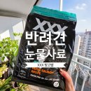 엣지퍼피 | 강아지눈물사료 망고밥 트리플엑스, 12살 노견도 활력 넘치게 만든 비결!