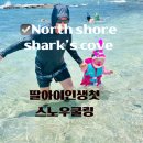 문지렌트 | 노스쇼어 샥스코브 리얼후기 아이랑 생애 첫 스노클링